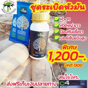 ชุดระเบิดหัวมันสำปะหลัง ชุดทดลอง โฟร์ทรี 1 ซอง+แบล็คเล็ก 250 ml ช่วยเร่งขยายหัว สารเสริมประสิทธิภาพพืช ช่วยเพิ่ม%น้ำยาง เพิ่มค่าแป้ง ป้องกันโรคโคนเน่า ท่อน้ำเลี้ยงเน่า รากเน่า เชื้อรา เร่งหัวมันสำปะหลัง 4Treeของแท้ 100%
