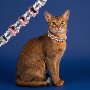 OUTOPEN Adjustable Pet Pearl Collar Shiny Gem Pendant Double Layer Gemstone Cat Puppy Necklace Bling Faux Pearl Luxury Pet Jewelry Small Dogs
