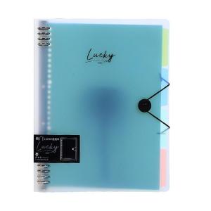 Presentation Display Folder Letter Size 8 Rings Binder Hold 220Sheets Elastic String Closure for Office School and Home