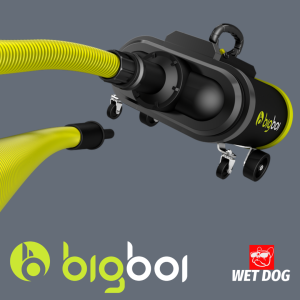 BIGBOI PRO MK II CAR BLOWER new 2025 Boosted air speed