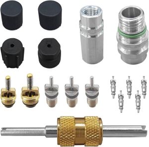 BDZMC 17PCS R12 R134A Car Air Conditioning Valve Core Kit (Black)