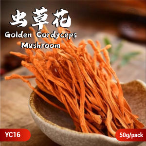 Chinese Herbs Herbal Medicine 虫草花 Cordyceps Flower Nourishing Kidney And Lungs 中药材 干货 干货 补肾滋肺 YC16