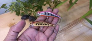 Umpan Minnow Sinking Tenggelam 5Gr Panjang 7 Cm