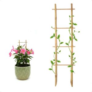 3Pack Bamboo Trellis 16 Inch Fan Shaped Small Plant Trellis for Indoor Potted Plants Climbing Monstera Orchid Vine Hoya Houseplant