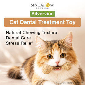 CatWant Dental Treatment Silvervine Stick Safe Natural Cleans Teeth Feline Cat Chew Toy