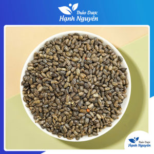 Hạt thầu dầu khô 1kg hạt đu đủ tía thầu dầu ve hạt già nhiều dầu - Thảo Dược Hạnh Nguyên