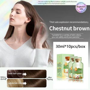 [10pcs 300ml]EEHLOE Plant Extract Hair Coloring Cream Hair dye bagged bubble dye plant extract hair dye set