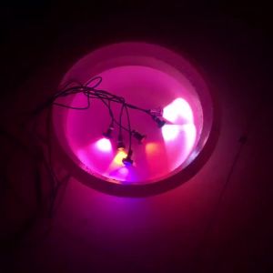 Car led Lamp 23MM Eagle Eye Light Ultra-thin Rogue Light Screw Reversing Light Motorcycle Modification Daytime Running Light