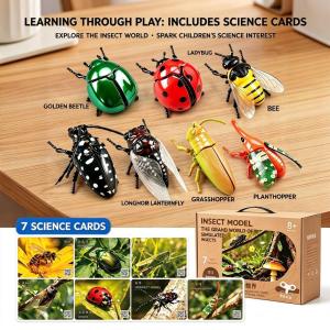 [SG Seller]Wind-up Insect Model Toy Set Realistic Moving Beetle & Butterfly Kids Interactive Science Learning Toy