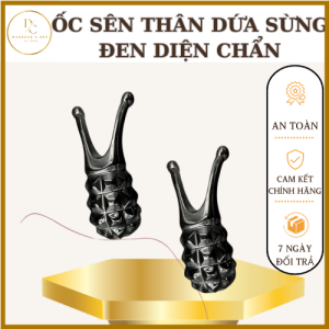 Dụng Cụ Ốc Sên Thân Dứa Sừng Trâu Đen Khai Thông Kinh Lạc Diện Chẩn Thân Tâm