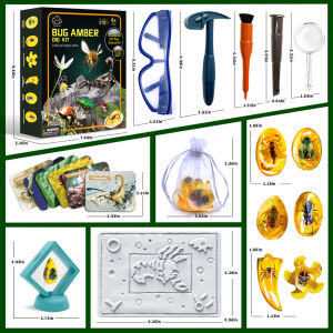 SG EmmAmy Children’s Archaeological Excavation Toys | Insect Specimen Blind Boxes | Handmade Treasure Hunts Gifts for boys girls