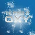 Hoover Oxy Portable Spot Cleaner | Carpet Cleaner Solution, 32oz/946ml. 