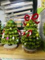 Tặng đèn led trang trí - Cây thông noel handmade bằng kẽm nhung xinh xắn trang trí bàn làm việc, bàn học. 