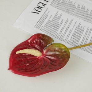 COD BUNGA ANTHURIUM KUPING GAJAH JUMBO PREMIUM LATEX X1 HIASAN DEKORASI RUMAH & RUANG TAMU IMPORT