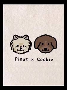 PINUT X COOKIE Premium Charcoal Diaper Potty Pads 宠物袪臭尿垫 猫狗厕所尿片 Pad
