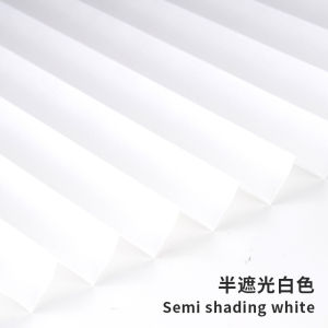 DOWELL CURTAIN BLINDS SCHOTTIS BLIND BLOCK OUT PLEATED BLIND BIDAI BERLISU BIDAI PENGHADANG STICK ONLY BLINDS WITH CLIPS