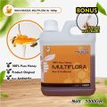 1KG MADU MULTIFLORA ASLI MADU MUEZZA Grade A , 100% PURE NATURAL HONEY , MADU ASLI MURNI ALAMI dari NEKTAR BUNGA MULTIFLORA dg Rasa Madu Manis & Lembut Pilihan Kesukaan Keluarga sbg Minuman Kesehatan & Kebugaran. 