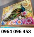 Mẫu tranh gạch 3d ốp tường phòng khách - DCNNM65. 