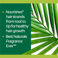 Palmolive Naturals Nourished & Long Shampoo with Avocado Oil for Brittle Hair 180ml Twin Pack. 