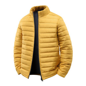 2026 AliExpress TM European Size Explosion Winter Cotton-padded Clothes Mens Classic Ribs Cotton Clothes Stand-up Collar Jacket Men