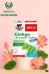 Viên uống hỗ trợ tăng cường tuần hoàn não và cải thiện trí nhớ Doppelherz Aktiv Ginkgo + Vitamine B +Cholin - Hộp 30 viên.