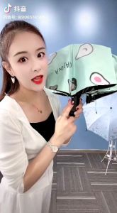 PAYUNG MOTIF BUAH OTOMATIS