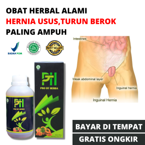 PRO DT Obat Herbal Hernia Paling Ampuh Alami Bisa Untuk Anak Dan Dewasa