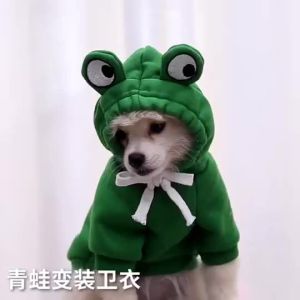 Dog Clothes Transform into Dog and Cat Clothes for Small and Medium Dogs Autumn and WinterSupplies Teddy French Bulldog Cat Apparel