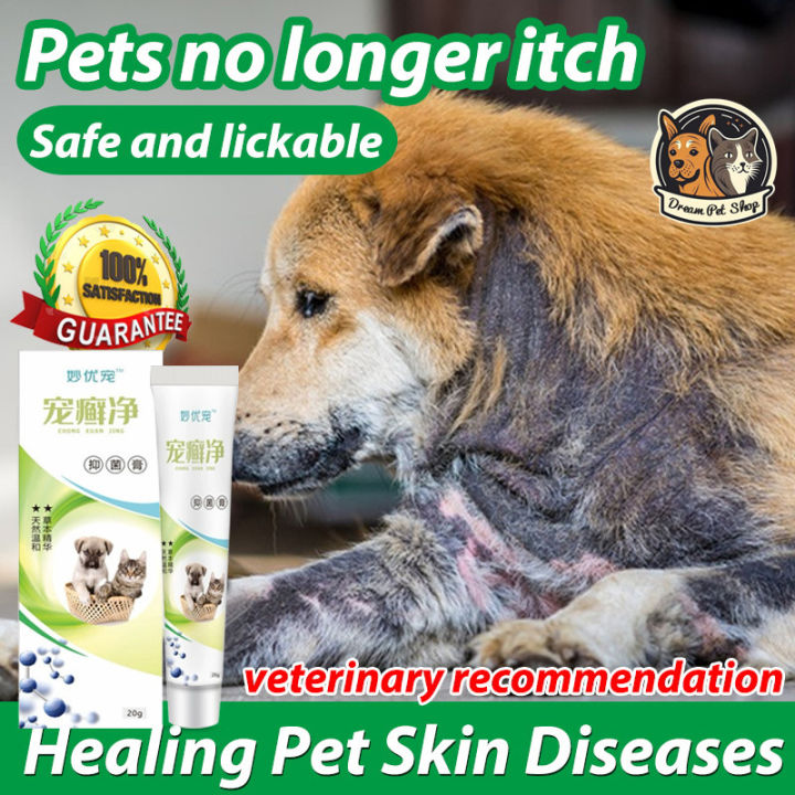 20G Pet Skin Ointment Cat and Dog Anti Fungal, Ringworm, Hair Loss