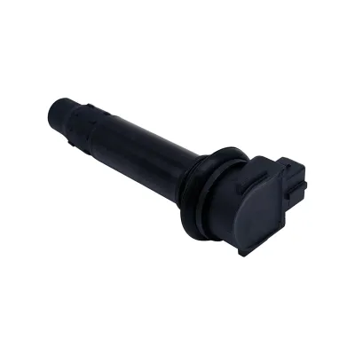 Ignition Coil Motorcycle Accessories 0700-178000 0700178000 for 400NK 400GT 650NK 650TR 650