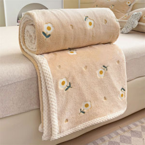 Blanket bed sheet small blanket cover student dormitory single person plush thickened coral velvet double-sided nap blanket
