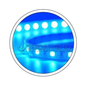 Lampu LED Strip Selang Tumblr SMD 5050 220V 5W IP65 Waterproof 1 Roll 100 Meter
