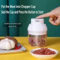 ElectricFood Chopper,250ML Portable Garlic Chopper with USB Charging Function,Food Slicer for Onion Vegetables Chili Ginger Meat Nuts Fruits Salad (Green). 