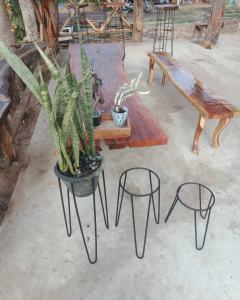 ส่งฟรี ชั้นวางกระถางต้นไม้ ชั้นวางต้นไม้ ชั้นวางดอกไม้ ตกแต่งสวน ชั้นวางกระบองเพชร กระถางต้นไม้ ชั้นวางกระถางดอกไม้ ชั้นวางของ