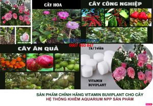 [TẶNG 35V] Dinh Dưỡng Và Cho Cây - Hoa giúp cây khỏe bịch nhỏ 100V_HÀNG CHÍNH HÃNG BUVIPLANT HUNGARY - HSD MỚI NHẤT