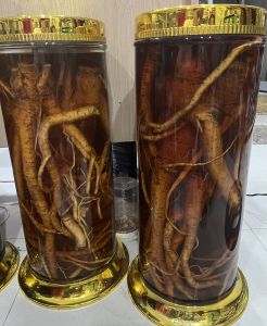 R ượu ĐINH LĂNG 7 NĂM TUỔI NGÂM R ượu 50 ĐỘ - 500ml 1000ml ( thơm và dễ uống giúp ngủ ngon tăng cường sk)