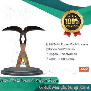 Arit Sabit Padi Rumput & Panen Sayuran Baja Asli