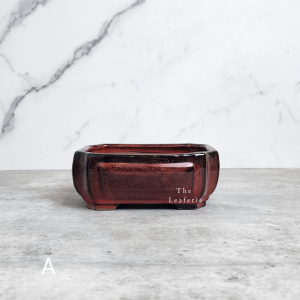 The Leaferie Petit Bonsai Pot (Series 22) Recatngular Plant pot . Ceramic . Flowerpot . Rectangle small purple sand pots