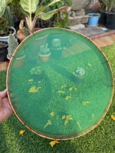 กระด้งร่อนข้าว หรือเขิง ตะแกรงร่อนข้าวพลาสติกขอบไม้ไผ่ ขนาด15 นิ้ว