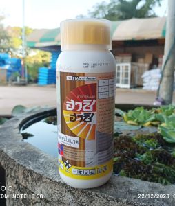 ฮาชิ ฮาชิ ขนาด 500 ซีซี. (ฉลากใหม่) โทลเฟนไพแรด 16% EC. กำจัดหนอนใยผัก ด้วงหมัดผัก เพลี้ยไก่แจ้ส้ม เพลี้ยไฟพริก