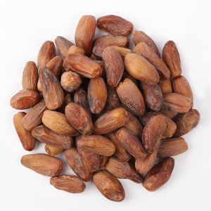 椰枣อินทผาลัม อินทผลัม ผลไม้อบแห้ง อินทผาลัมอบแห้ง Qadira เดกเรทนัวร์ ผลไม้เพื่อสุขภาพ ใหม่ พร้อมส่ง มีเก็บปลายทาง