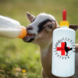 DOT KAMBING CEMPE DAN BOTOL 500ML TRANSPARAN BERKUALUTAS TINGGI ZEORFARM