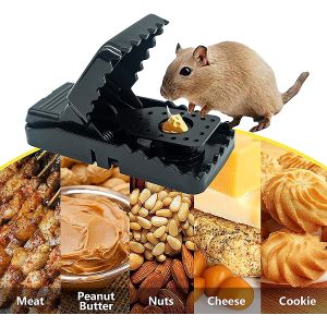 Mouse Catcher Trap Rodent Rat Snap Heavy Duty Reusable