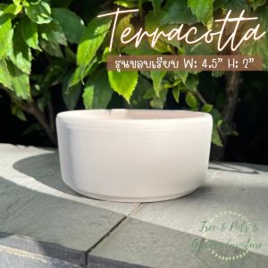 กระถางทรงเตี้ย กระถางมินิมอล กระถางจัดสวนถาด กระถางไม้อวบน้ำ กระถางแคคตัส ขนาด 4.5 นิ้ว มี 2 แบบให้เลือก เนื้อเนียนสวยคะ