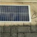 POLY solar panel cell surya st solar stc stec module 30wp 30 wp 12v. 