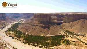 Grand Sumrah Yemeni Honey