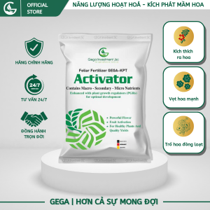 Kích Ra Hoa ACTIVATOR Bung Hoa Đồng Loạt Kéo Hoa Ra Mạnh Tược Hoa Dài Phân Bón Kích Phát Tố 100g