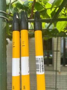 Combo 5 ống thép bọc nhựa Daim phi 20 x 1.8 met CÓ THƯỚC ĐO