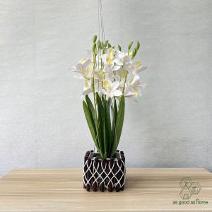 🚚ส่งจากไทย🚀กระเช้าลวด ดอกกล้วยไม้ซิมบิเดียมเทียม สวยมาก🌳เสมือนจริงมาก🌳สูง 48 cm.📷ภาพถ่ายจากสินค้าจริง📷