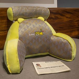 ODZ - Summer Cool Seat Bedding Reading and Waist Protection Soft Bag Waist Support HM-05